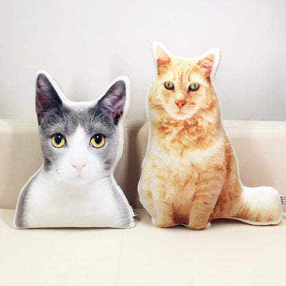 Personalised Pet Pillow