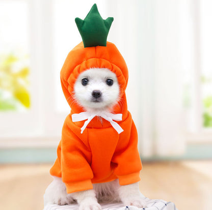 Small Dog Hoodie