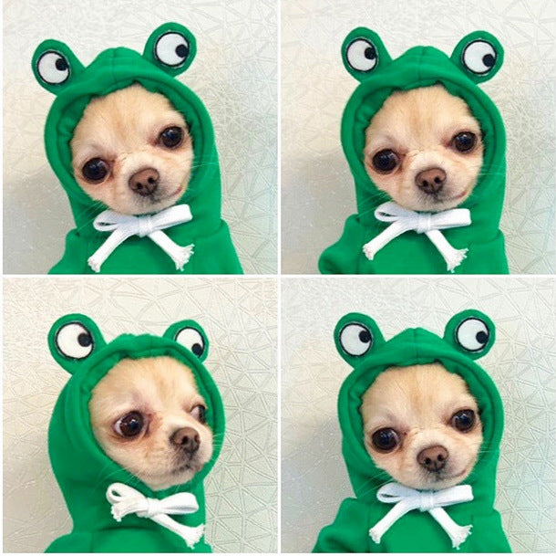 Small Dog Hoodie