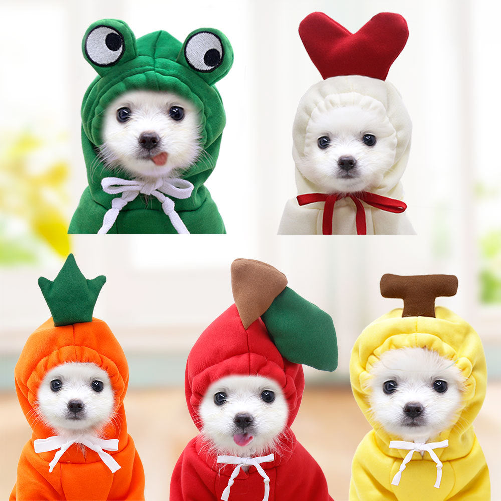 Small Dog Hoodie