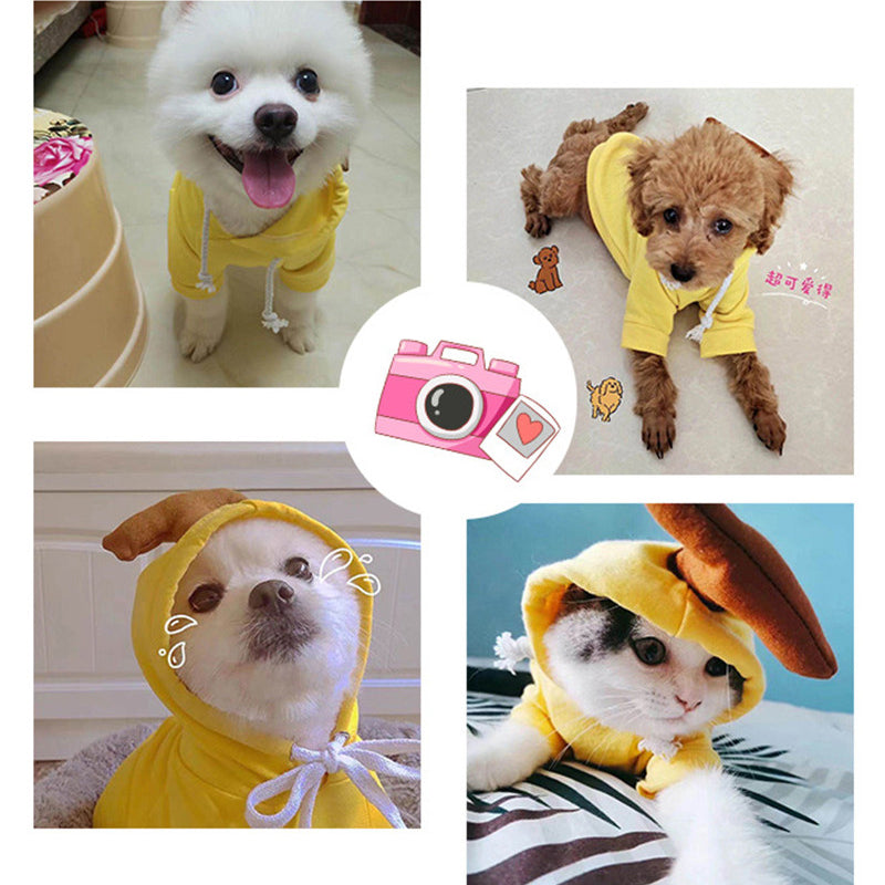 Small Dog Hoodie