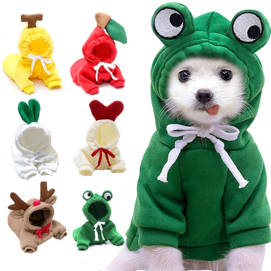 Small Dog Hoodie