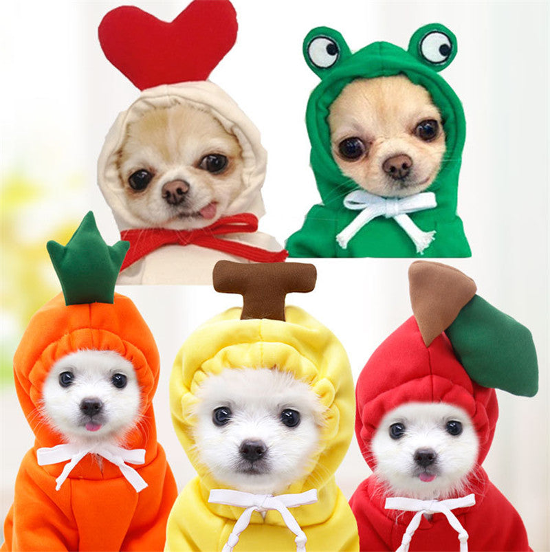 Small Dog Hoodie