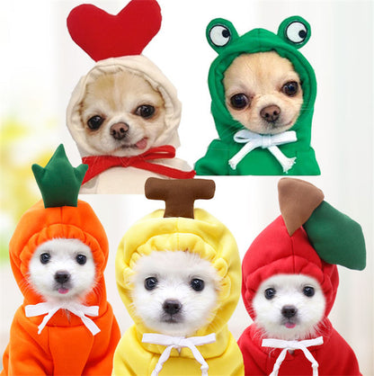 Small Dog Hoodie